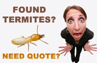 free-termite-quote-ludhiana