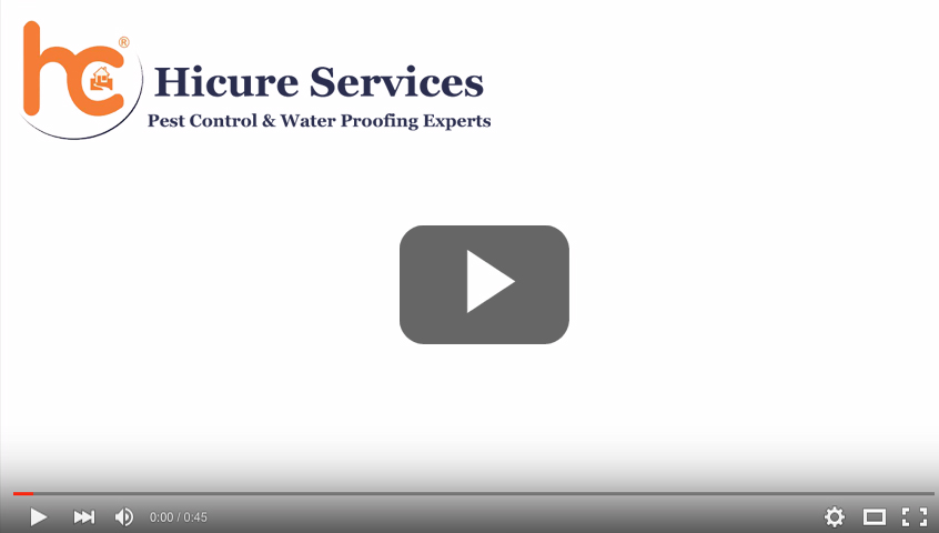 hicure Control Service video